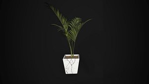 Tall Indoor Palm Plant Low-poly 3D model
