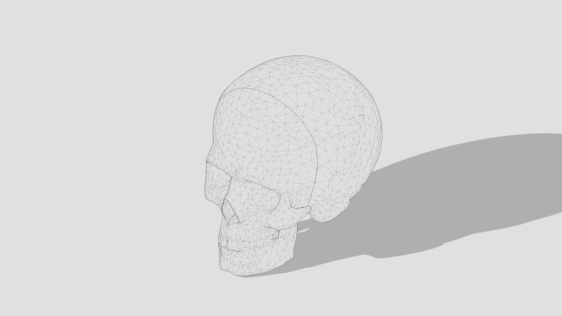 Skull 3D model https://p.turbosquid.com/ts-thumb/Ep/S7JwjN/nE/2wire/jpg/1744456899/1920x1080/fit_q87/c83fadbb1f20f67bf4206515c8fc18dc918505a2/2wire.jpg