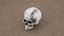 Skull 3D model
