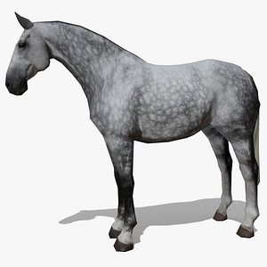LowPoly Horse B (Dapple grey)