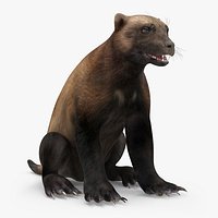 Wolverine Dark Color Sitting Pose