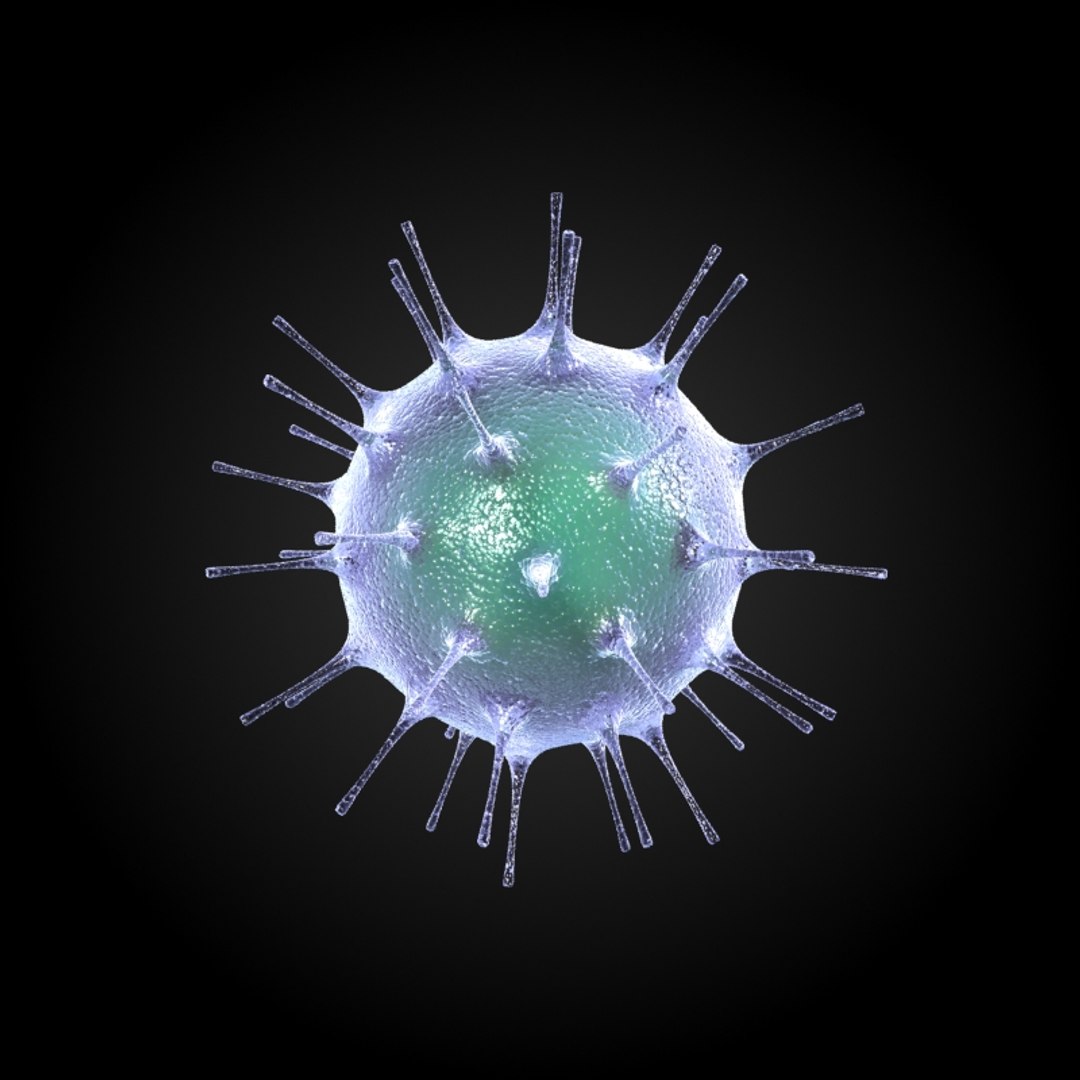 3d Microbes Micro Organisms Model