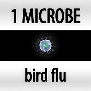 3d microbes micro organisms model