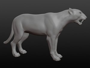 tiger saber-toothed model