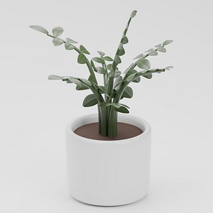 Potted Plant model
