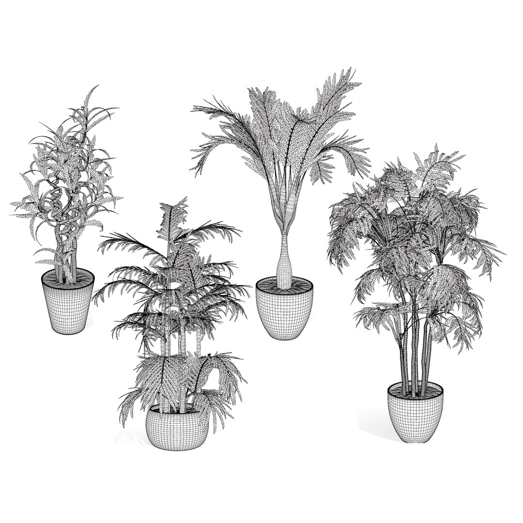 Indoor Palm Collection Model - TurboSquid 2257850