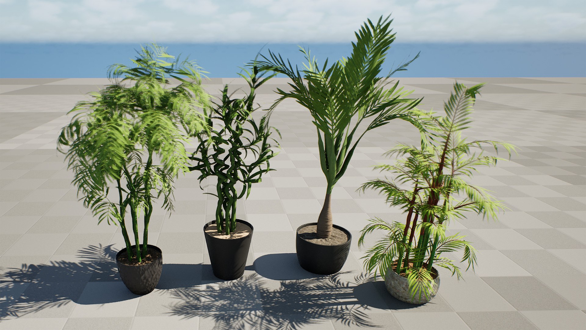 Indoor Palm Collection model https://p.turbosquid.com/ts-thumb/Eq/Jon2jf/xG/highresscreenshot00002/jpg/1721559651/1920x1080/fit_q87/d1762f9e0d9bd9d7d6432f6c064ae4a36cb9255f/highresscreenshot00002.jpg