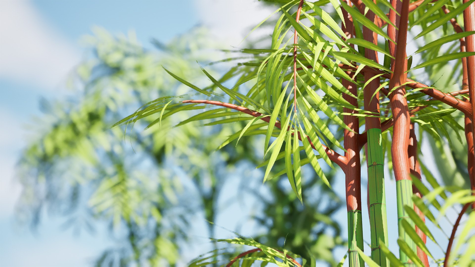 Indoor Palm Collection model https://p.turbosquid.com/ts-thumb/Eq/Jon2jf/zc/highresscreenshot00004/jpg/1721559656/1920x1080/fit_q87/c48b6e15ccc9d7e3eb19c5f53417a90214f6c5d0/highresscreenshot00004.jpg