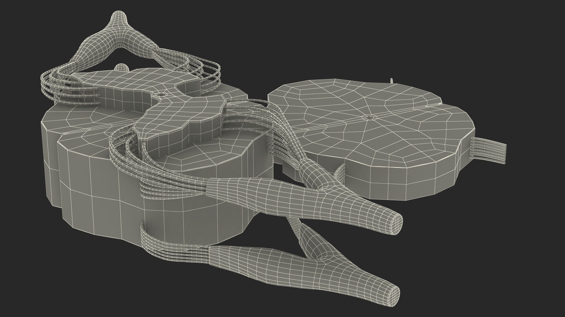 3D model Gross Anatomy of Spinal Nerves https://p.turbosquid.com/ts-thumb/Eq/ZKkiDz/hl/grossanatomyofspinalnerves3dmodel024/jpg/1708552058/1920x1080/fit_q87/7e22d6d114188b337f27b85971c54a8a9286ec41/grossanatomyofspinalnerves3dmodel024.jpg