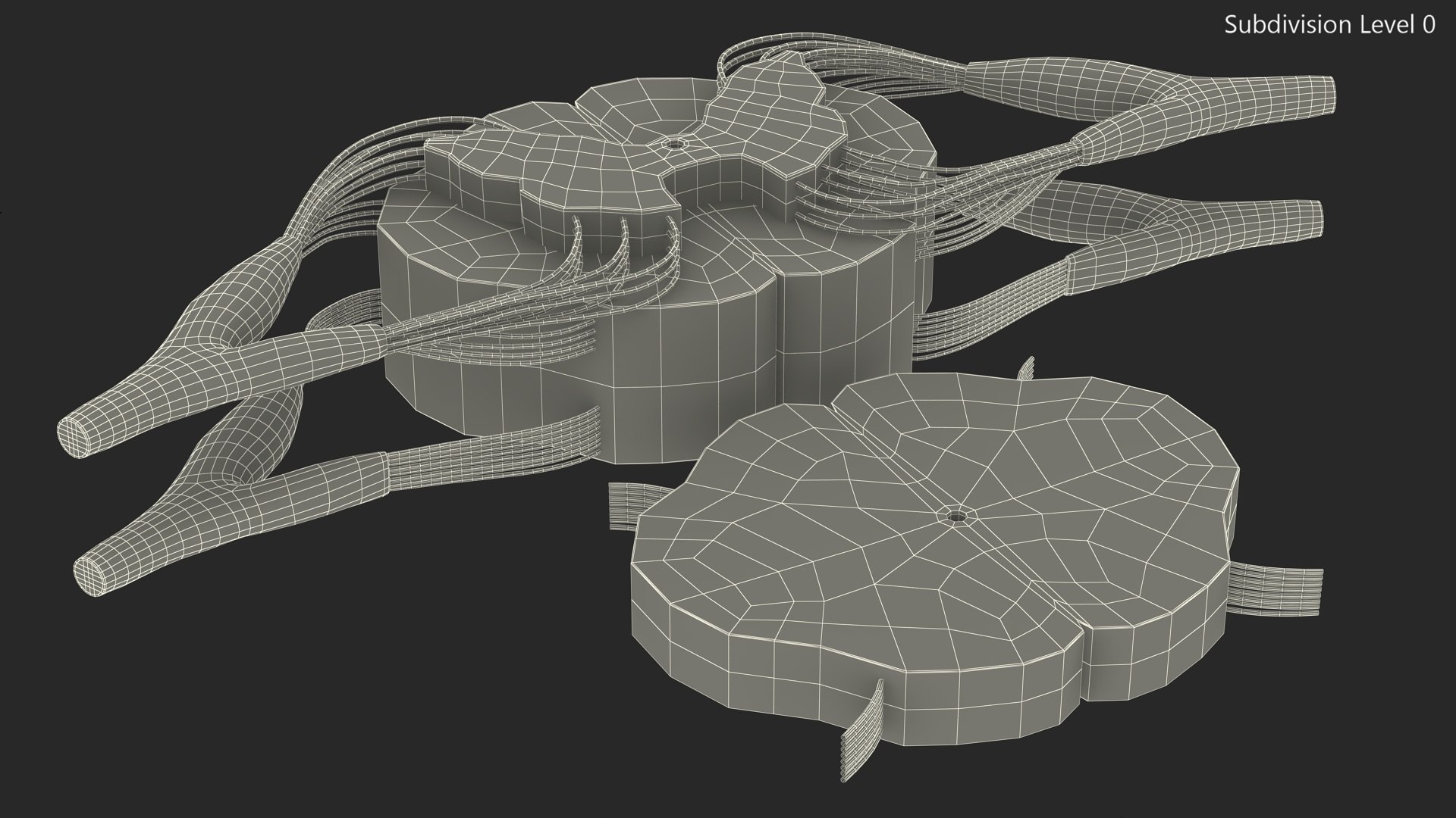 3D model Gross Anatomy of Spinal Nerves https://p.turbosquid.com/ts-thumb/Eq/ZKkiDz/pt/grossanatomyofspinalnerves3dmodel014/jpg/1708552016/1920x1080/fit_q87/d40ee9f824efe421a85e076c49ff21ab16a8ff55/grossanatomyofspinalnerves3dmodel014.jpg