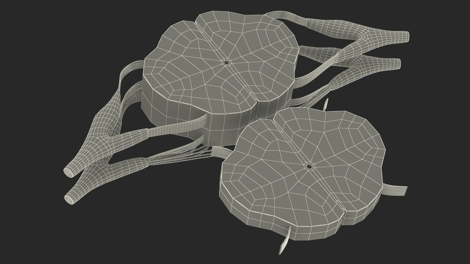 3D model Gross Anatomy of Spinal Nerves https://p.turbosquid.com/ts-thumb/Eq/ZKkiDz/sF/grossanatomyofspinalnerves3dmodel026/jpg/1708552066/1920x1080/fit_q87/e46c8d72d575d436ad32c7d0bc6528dc2df9e563/grossanatomyofspinalnerves3dmodel026.jpg
