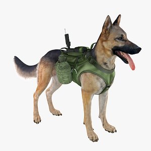 3d military dog german