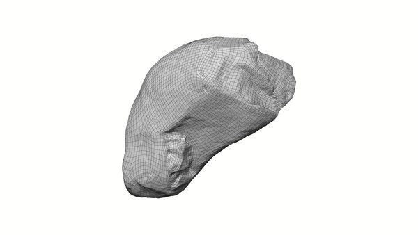 3D model Yellow Rock Raw Scanned - TurboSquid 1782383