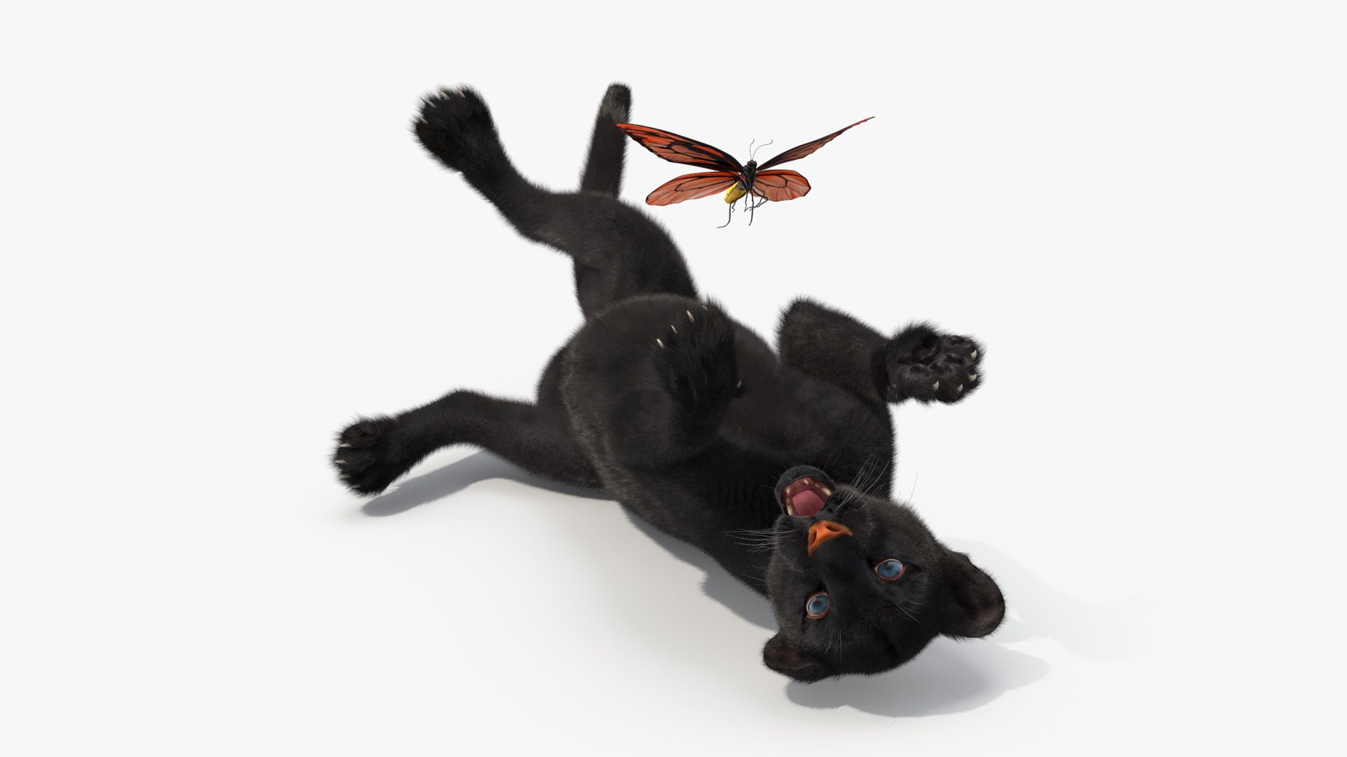 Playful Black Panther Cub with Butterfly Fur 3D model https://p.turbosquid.com/ts-thumb/Eq/lyGusi/Nz/playful_black_panther_cub_with_butterfly_fur_006/jpg/1739175768/1920x1080/fit_q87/cac3689cbbe882403a73f35eae1c64440d8a3575/playful_black_panther_cub_with_butterfly_fur_006.jpg