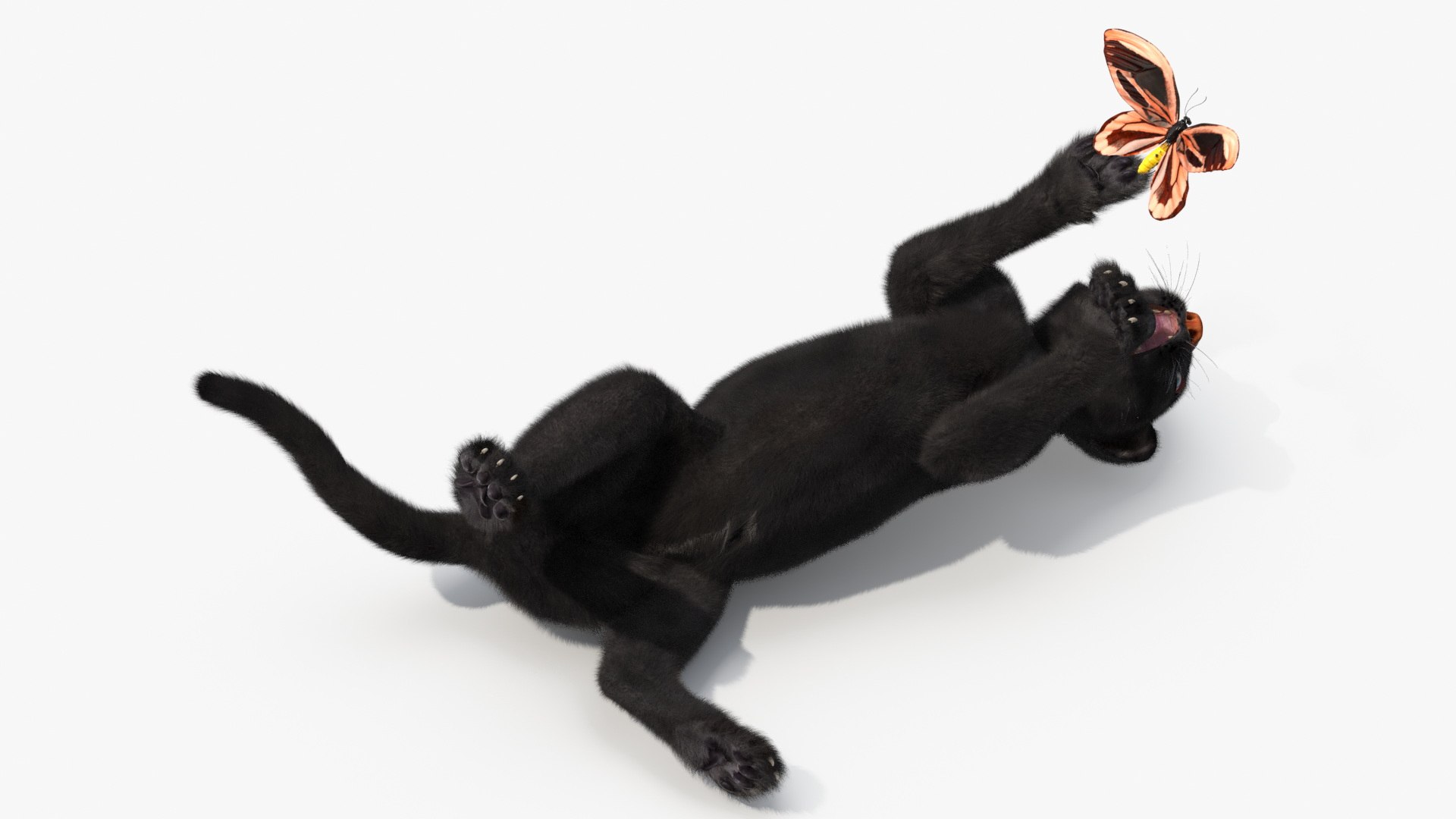 Playful Black Panther Cub with Butterfly Fur 3D model https://p.turbosquid.com/ts-thumb/Eq/lyGusi/rP/playful_black_panther_cub_with_butterfly_fur_005/jpg/1739175766/1920x1080/fit_q87/1afb4b919d6eac646d458d7bcf951c0879ade183/playful_black_panther_cub_with_butterfly_fur_005.jpg