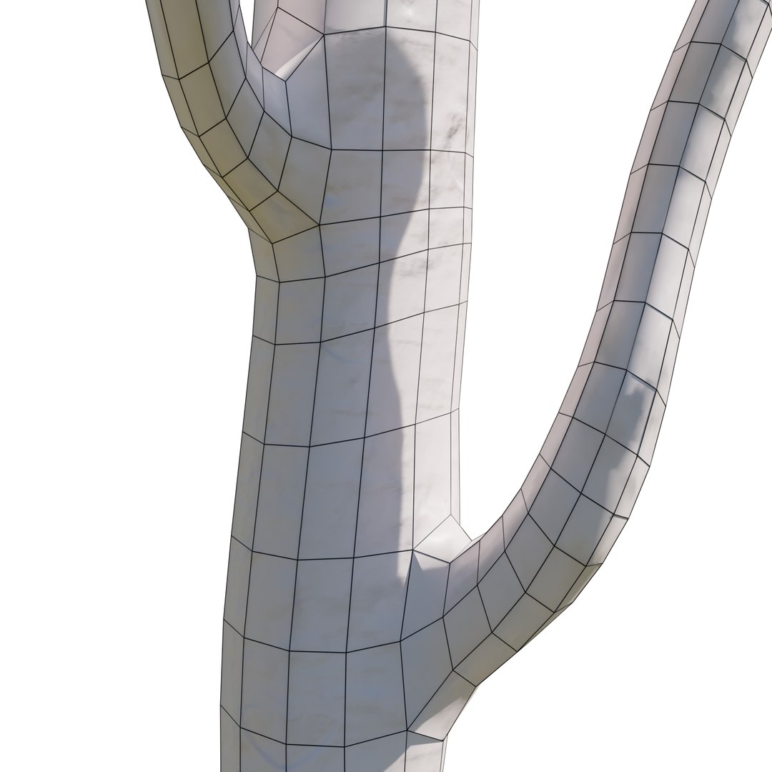 Schizolobium parahyba 3D model https://p.turbosquid.com/ts-thumb/Eq/m3NUKd/A5/m1i/jpg/1671178029/1920x1080/fit_q87/ef6fd4f377e7a56e7f01792623c543d91e12f9c3/m1i.jpg