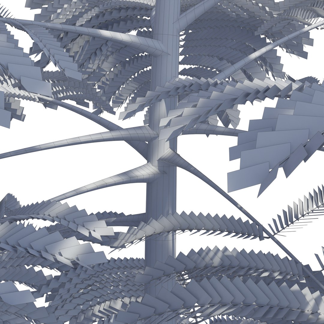 Schizolobium parahyba 3D model https://p.turbosquid.com/ts-thumb/Eq/m3NUKd/Ml/m2h/jpg/1671178044/1920x1080/fit_q87/faeee5a7cb6b2fe28a357298e5ec10c68f78171c/m2h.jpg