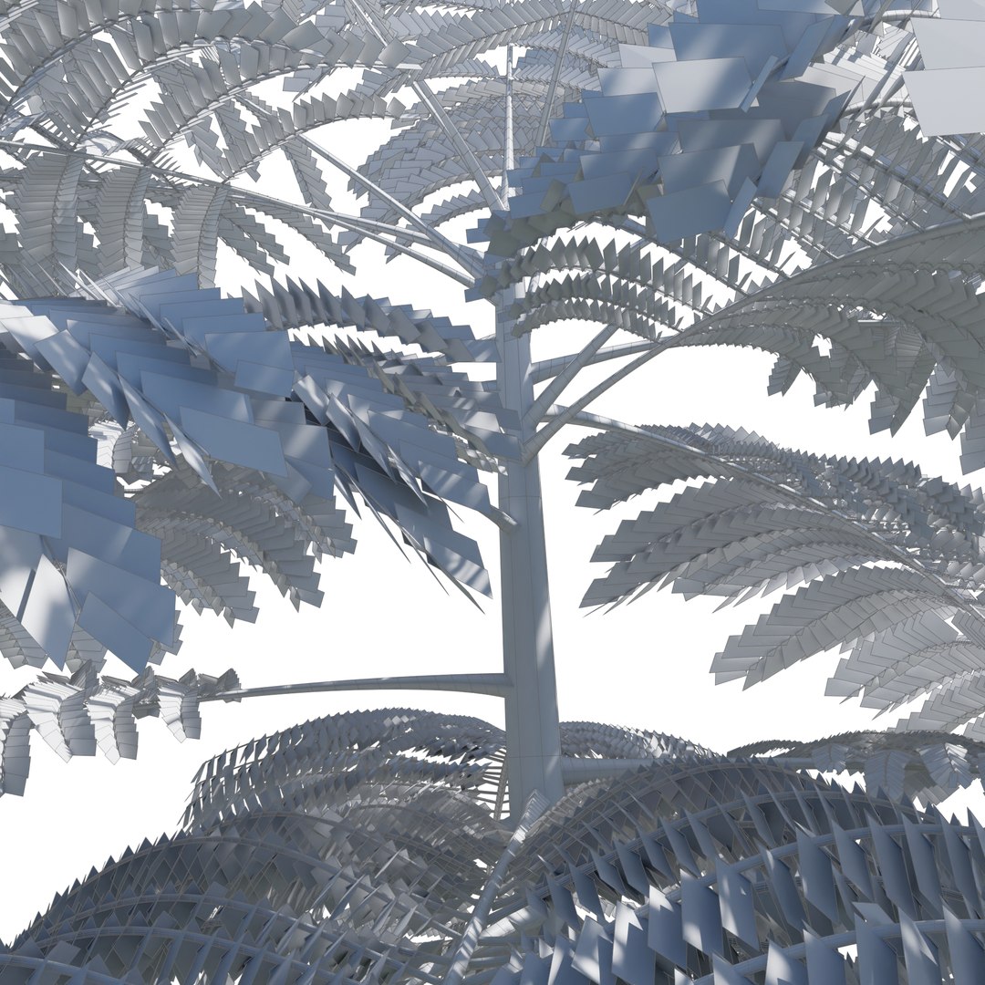 Schizolobium parahyba 3D model https://p.turbosquid.com/ts-thumb/Eq/m3NUKd/f2/m3e/jpg/1671178068/1920x1080/fit_q87/dc190dfe2cb1f2b7f138bfb3c2868c14a4387549/m3e.jpg