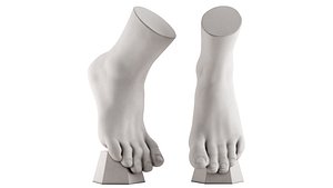Ecorche plaster training manual foot vertical 3D model