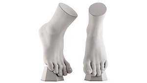 Ecorche plaster training manual foot vertical