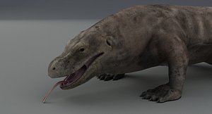 Komodo Dragon