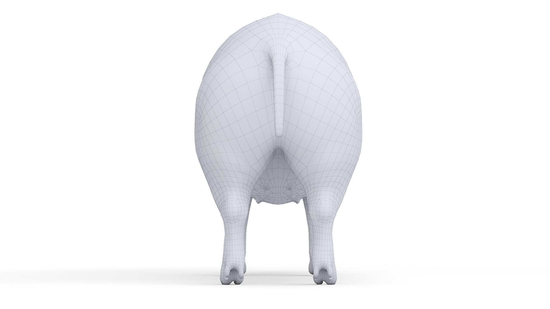 Pig  Body Skeleton and Nerves Static 3D model https://p.turbosquid.com/ts-thumb/Eq/xGYTDN/dT/2021_pig_anatomy_wire_body0005/jpg/1625642829/1920x1080/fit_q87/d5b0e9a83014d5cd5bbfcba078ab1e17393f5964/2021_pig_anatomy_wire_body0005.jpg
