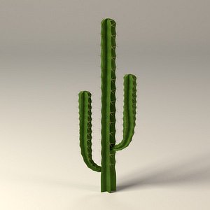 cactus 3d model