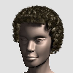 hair character mesh max