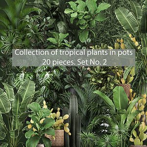3D set plants pots interior