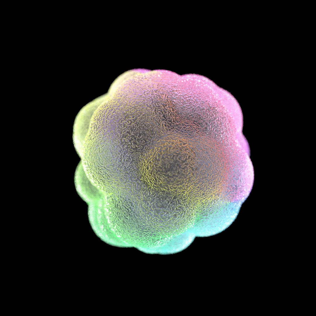 3D Microbes Bacteria Cells Model - TurboSquid 1626129