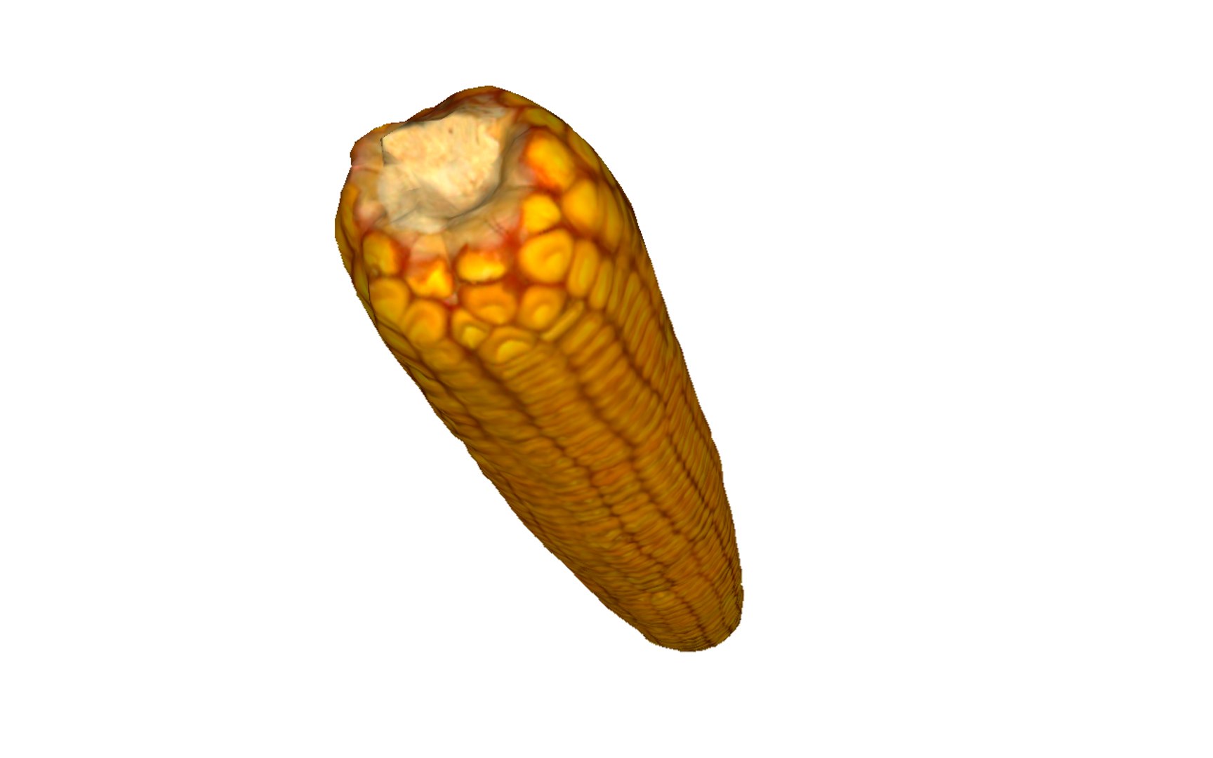 3D Corn Cob - TurboSquid 1604073