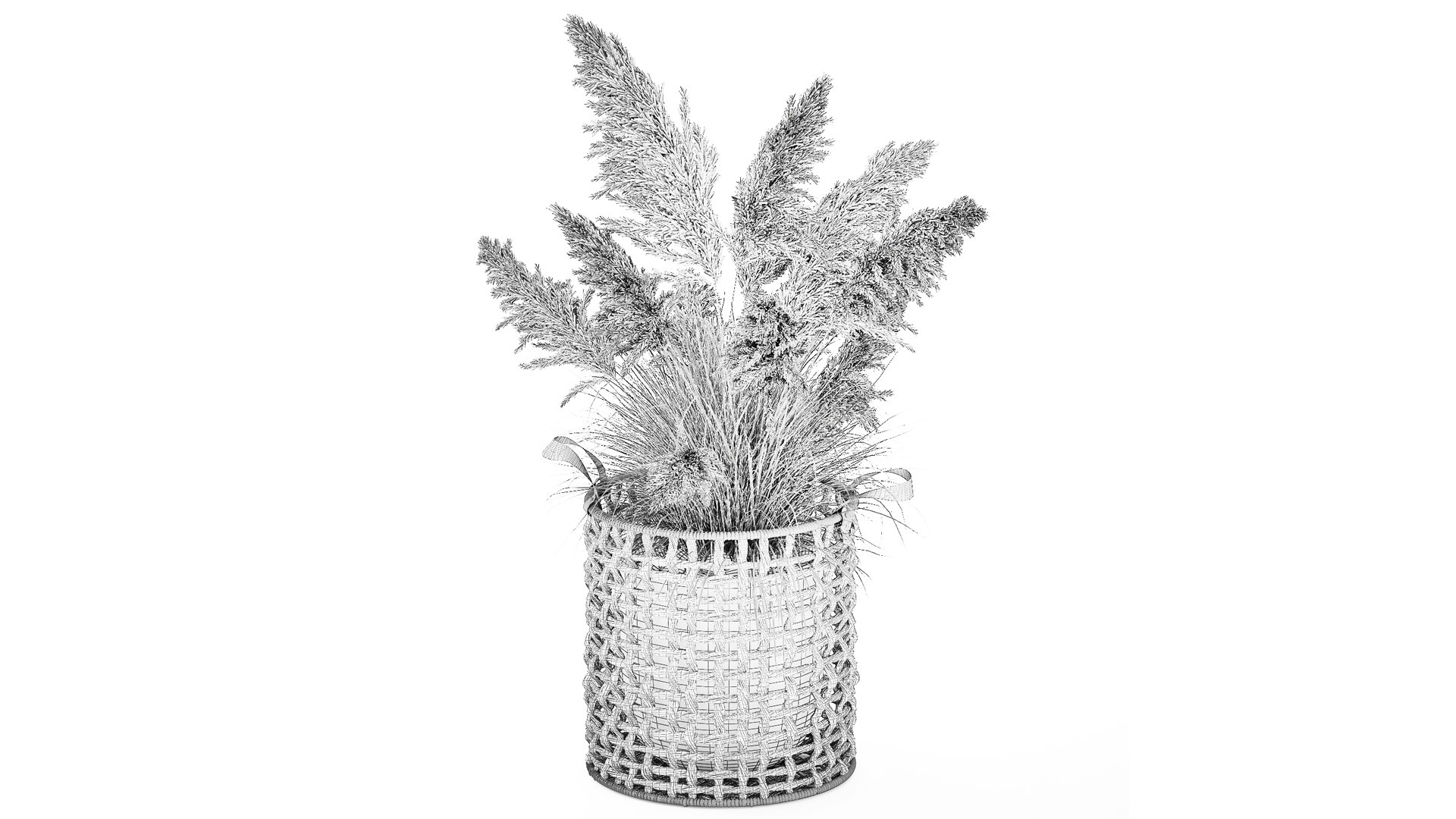 3D Bush White Pampas Grass Cortaderia Reed Basket decor https://p.turbosquid.com/ts-thumb/Er/dQeZGk/KE/1plantpampas110209/jpg/1770918606/1920x1080/fit_q87/96999f95ac3bf7f56171553b4c04a816ba36bb0e/1plantpampas110209.jpg