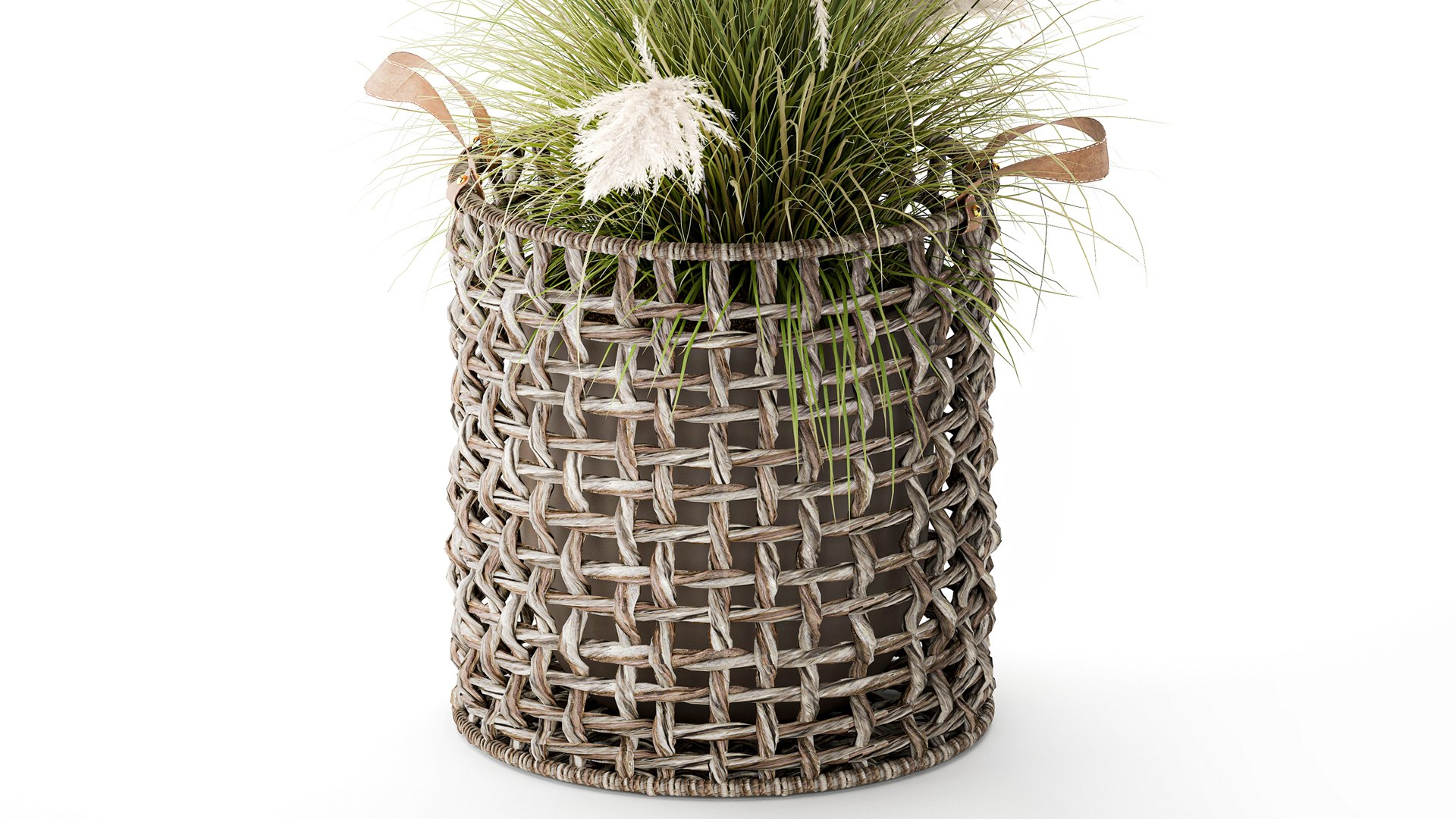3D Bush White Pampas Grass Cortaderia Reed Basket decor https://p.turbosquid.com/ts-thumb/Er/dQeZGk/lv/1plantpampas110206/jpg/1770918605/1920x1080/fit_q87/f1f0f16b92744b8a33bd7927a91ba44f7dbba352/1plantpampas110206.jpg