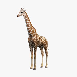 rigged giraffe 3D model