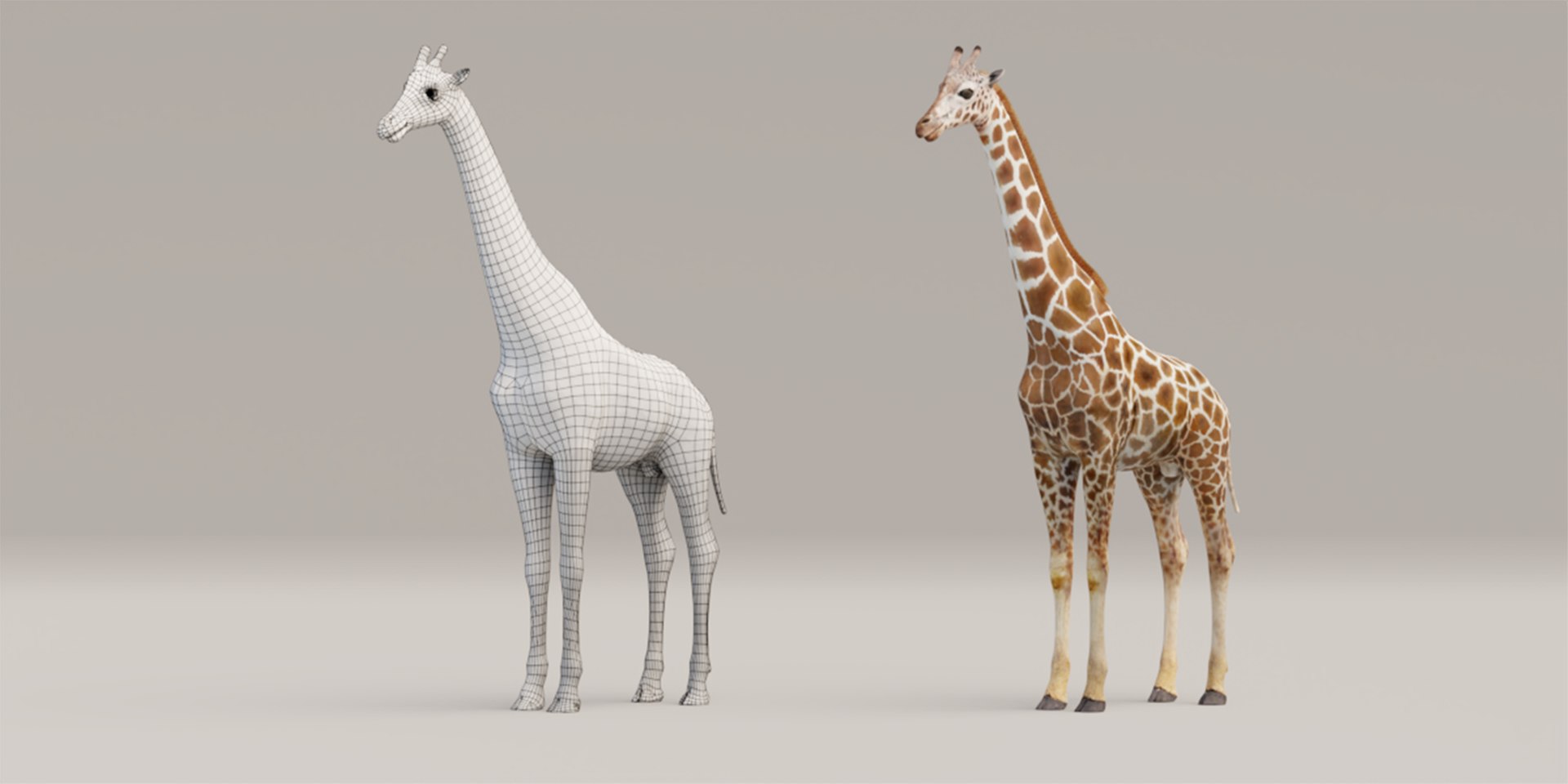 Rigged Giraffe 3D Model - TurboSquid 1700253