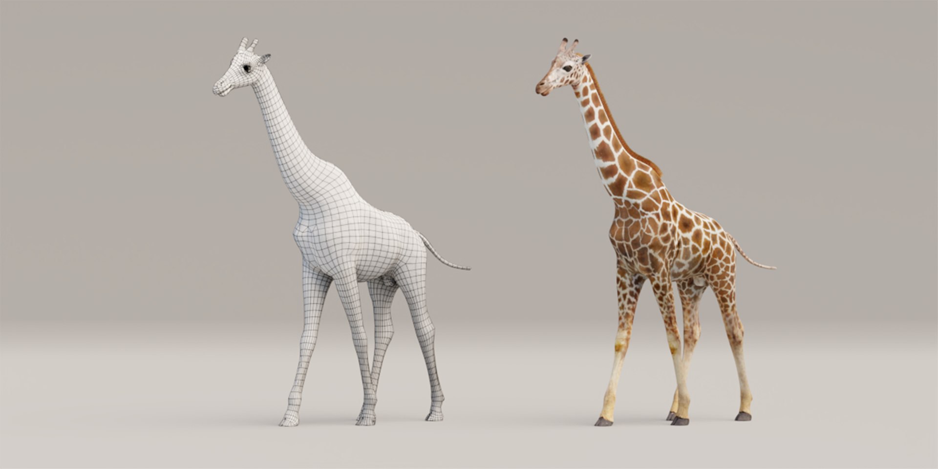 Rigged Giraffe 3D Model - TurboSquid 1700253