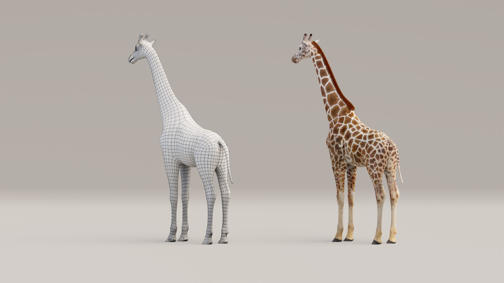 Rigged Giraffe 3D Model - TurboSquid 1700253