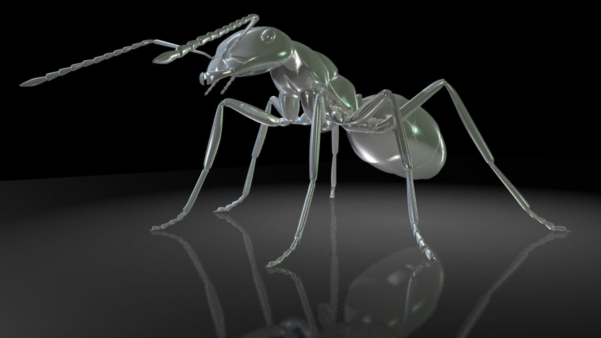 Formica Yessensis Forel 3D Model TurboSquid 1324054