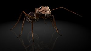 formica yessensis forel 3D model