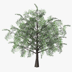 hawthorn flowers low poly