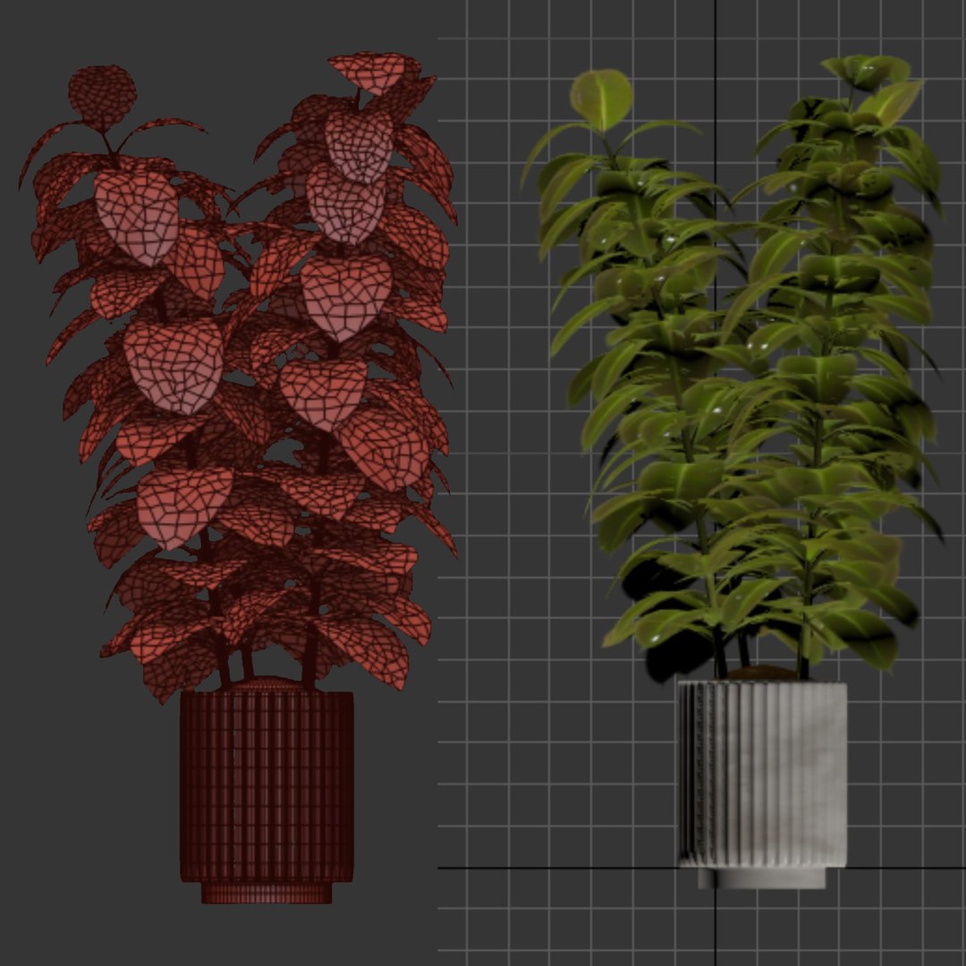 3D Ficus Elastica Vol 299 model https://p.turbosquid.com/ts-thumb/Er/nBfYPb/55/4/jpg/1758581625/1920x1080/fit_q87/1f0ece530ca06ba6ae93da53cf2993165b5c991d/4.jpg