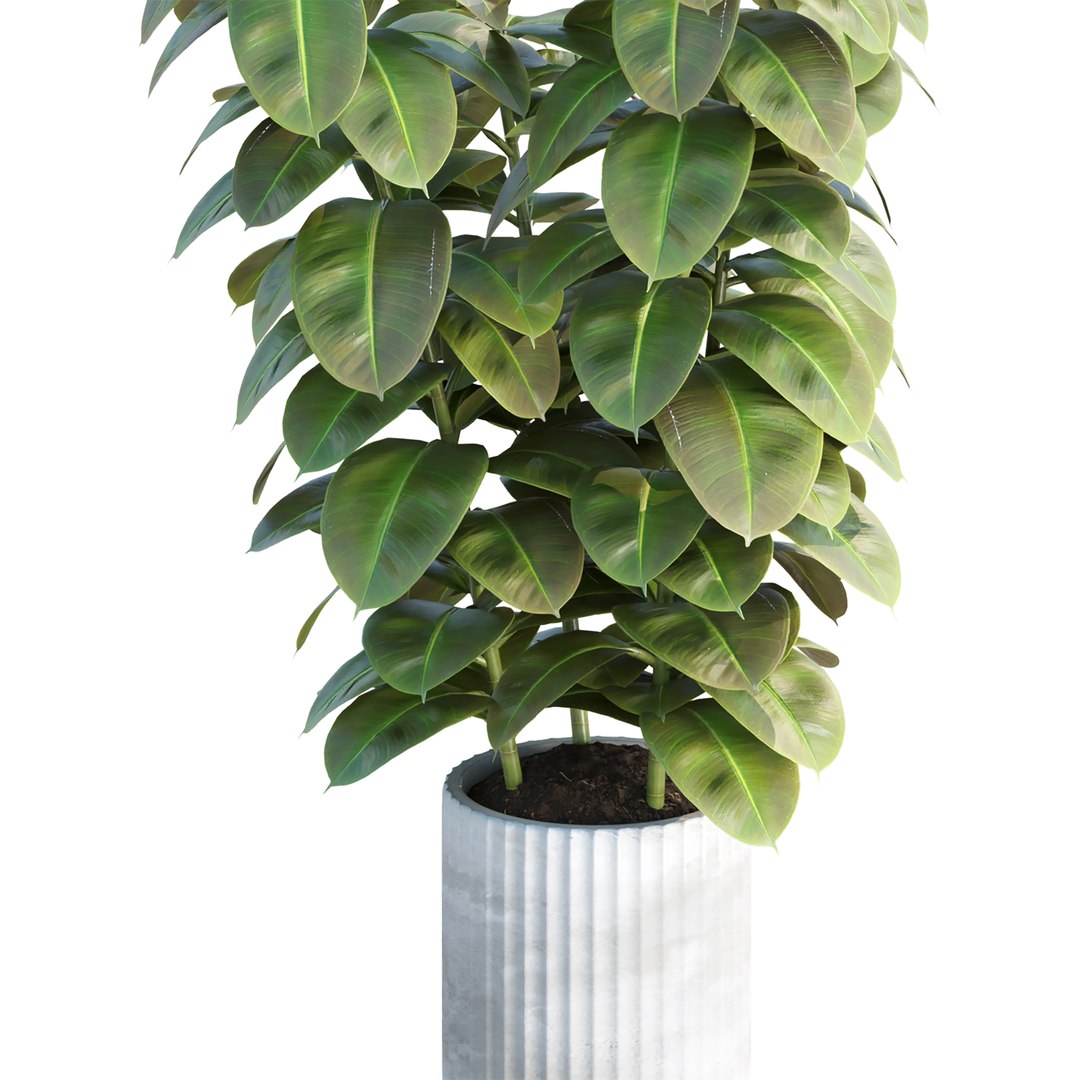 3D Premium Indoor &amp; Outdoor Plant Collection Bundle 100 https://p.turbosquid.com/ts-thumb/Er/nBfYPb/Yi/3/jpg/1758581680/1920x1080/fit_q87/4df0d4dc151247d7b5a863c2607049f2a1d28bbc/3.jpg