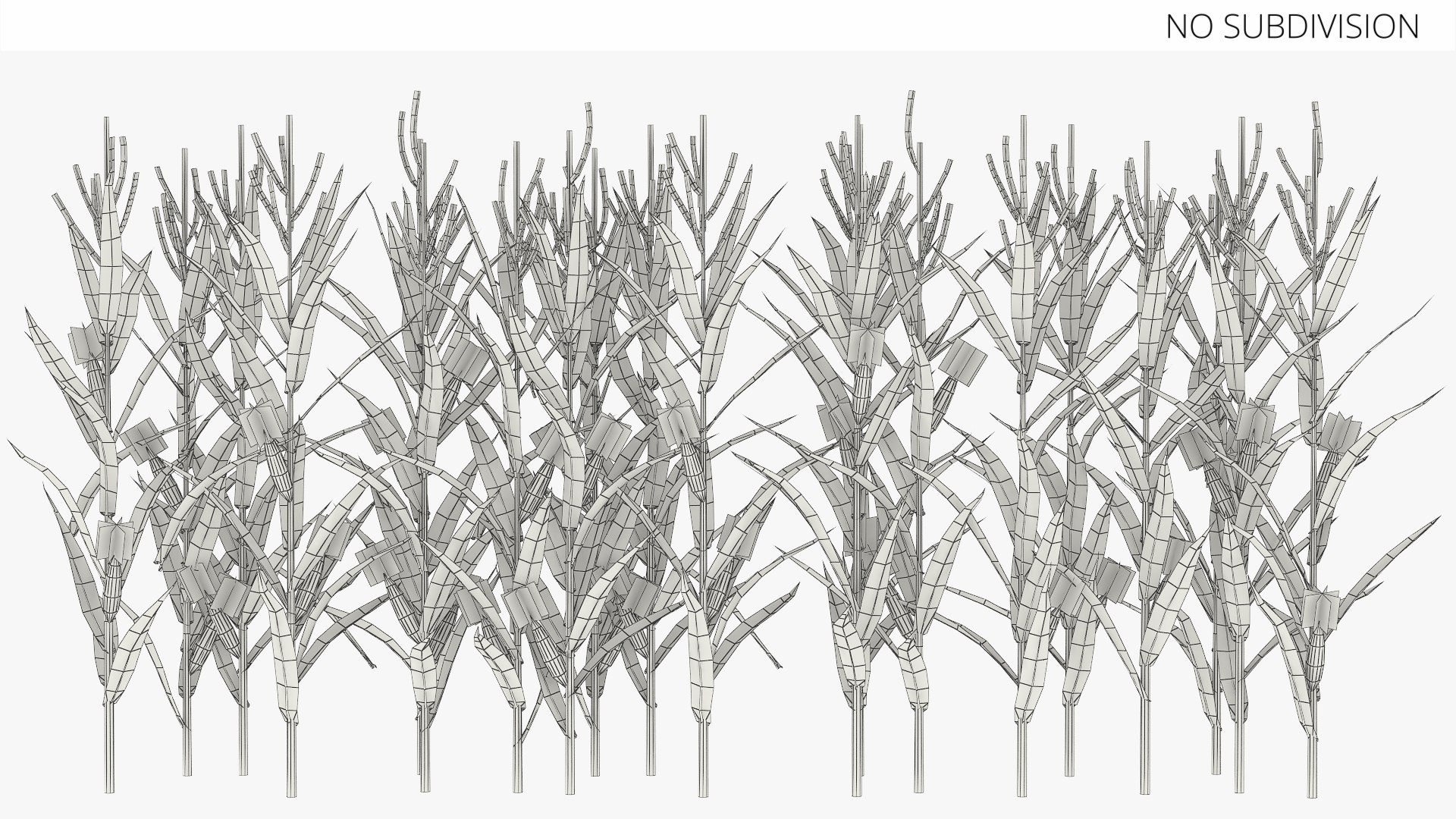 3D Dried Maize Row Formation - TurboSquid 2463332