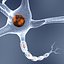 Neuron cell