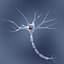 Neuron cell