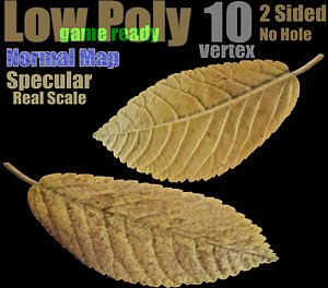yellow autumn leaf 3D