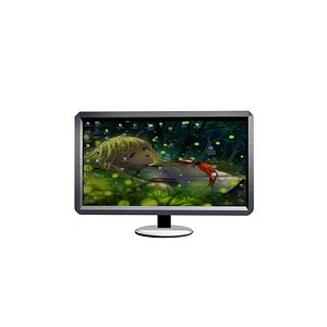 LCD Monitor