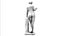 Scultura femminile classica