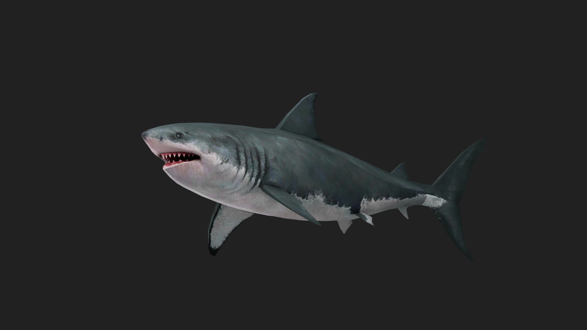 3D Shark model https://p.turbosquid.com/ts-thumb/Es/90Vw8e/Mr/z03/png/1694096212/1920x1080/fit_q87/721cdfc52a57637825dde75145bb8fe55eed6889/z03.jpg