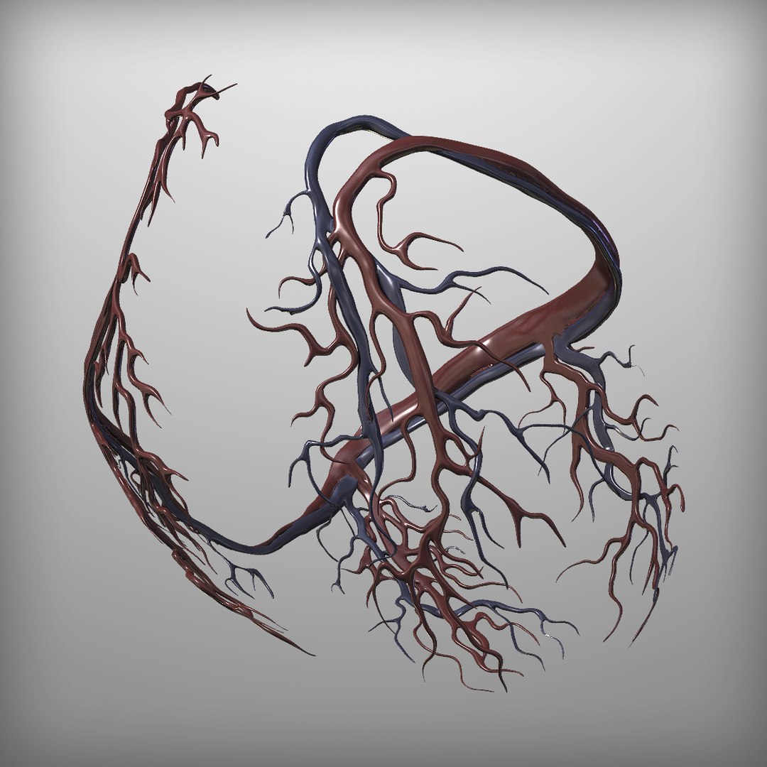 3d human heart https://p.turbosquid.com/ts-thumb/Es/EV1sTD/pqcWYzDX/8/png/1392446037/1920x1080/fit_q87/ded4793bc55f6ca383322f4052ff2035b6f9f2b0/8.jpg